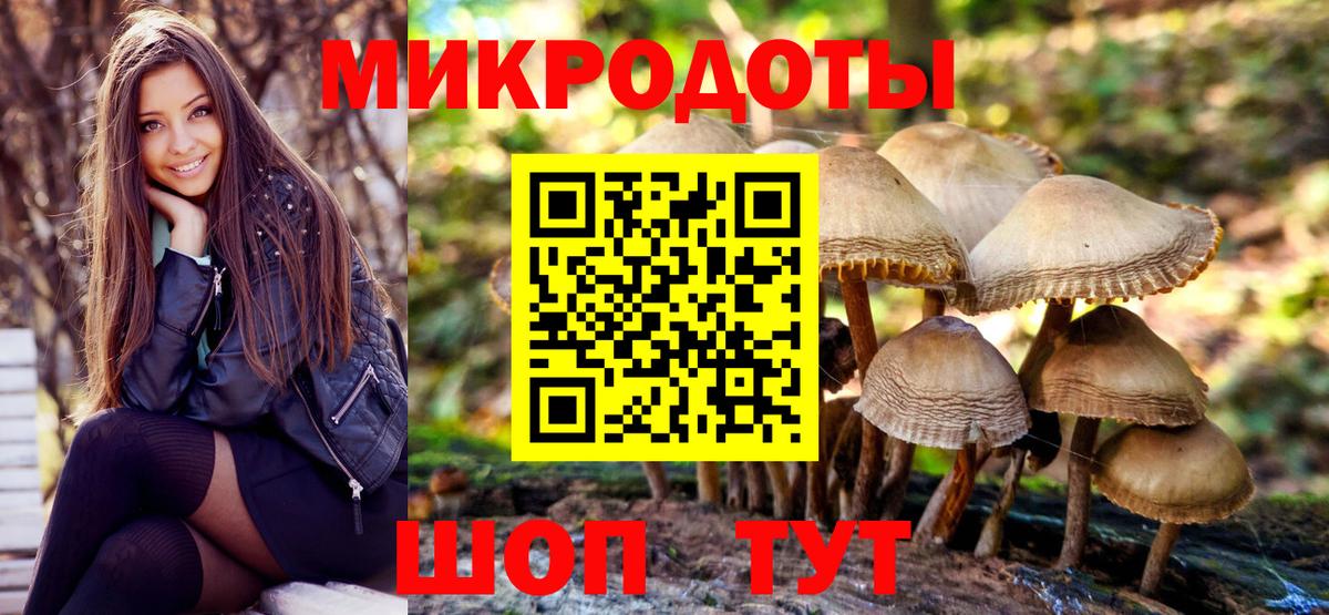 Псилоцибиновые грибы Psilocybine cubensis  Вход с VPN  Сосновоборск 