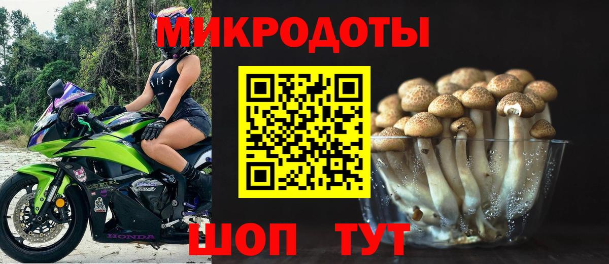 Галлюциногенные грибы Psilocybe Сосновоборск